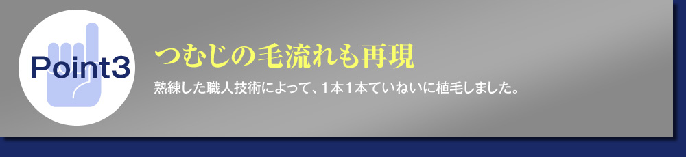 Point3つむじの毛流れも再現 熟練した職人技術によって、1本1本ていねいに植毛しました。