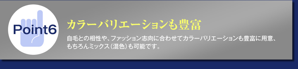 Point6カラーバリエーションも豊富 自毛との相性や、ファッション志向に合わせてカラーバリエーションも豊富に用意、もちろんミックス（混色）も可能です。