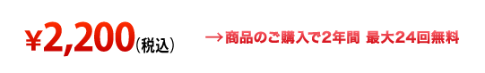 ￥2,100(税込み) →商品のご購入で2年間 最大24回無料