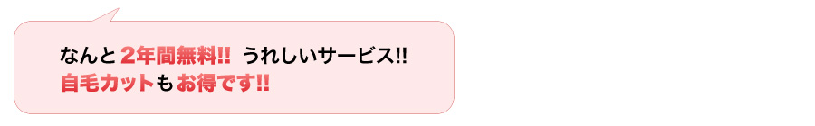 なんと2年間無料!! うれしいサービス!! 自毛カットもお得だね!!