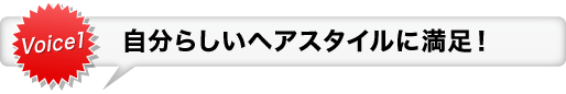 Voice1 誰にも気づかれず自然なつけ心地！